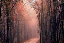 U20亚洲杯足球赛赛程出炉 中国队小组赛先易后难.