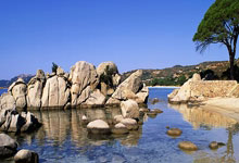 四川高尔夫健儿闪耀国际赛场，佳绩频传展风采.